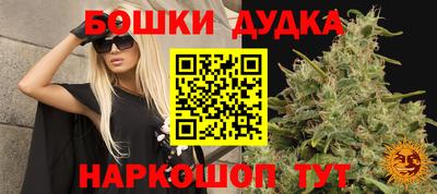 Альфа ПВП Беслан