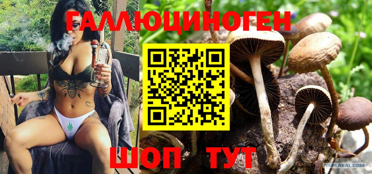 Воркута  Галлюциногенные грибы Psilocybe  Вход с VPN 